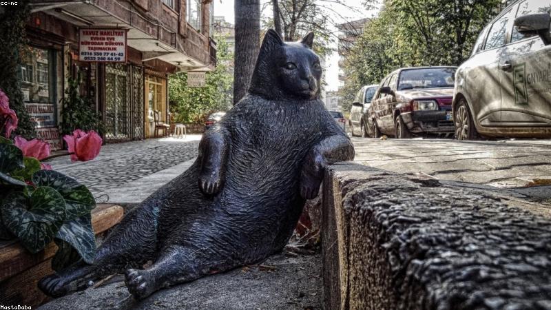 Amazonプライムビデオ